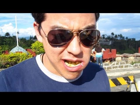 how to fertilized duck eggs