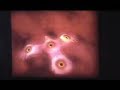 tool   reflection  live 