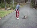 Shitty Amp Smash