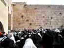 Kohanim en el Kotel
