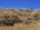 Tiler and James In Reno Desert