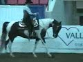 US Half-Arabian Western Pleasure Section B