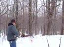 mosin nagant