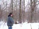mosin nagant