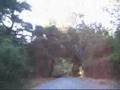 A Bike Ride