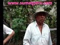 Tour a Lunahuaná - Pisco y Criadero de Camarones