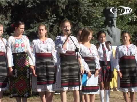 Limba Noastră