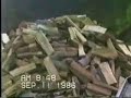 Wood Pile from 1986 Wood Pile from 1986