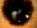 Smashing-Pumpkins-Ze