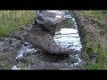 See Video