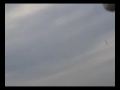 Thumbnail #2