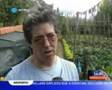 videos de Agricultura de Travassô foi notícia na RTP