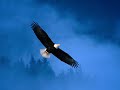 The Road To Freedom-chris de burgh