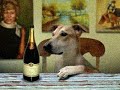 duke does his best job of reenacting orson welles' drunk performance from a commercial shoot for paul masson champagne.