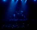 my chemical romance   crowd crush!