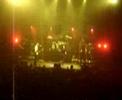 my chemical romance   crowd crush!