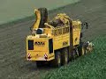 ROPA eurotiger V8 XL ROPA eurotiger V8 XL