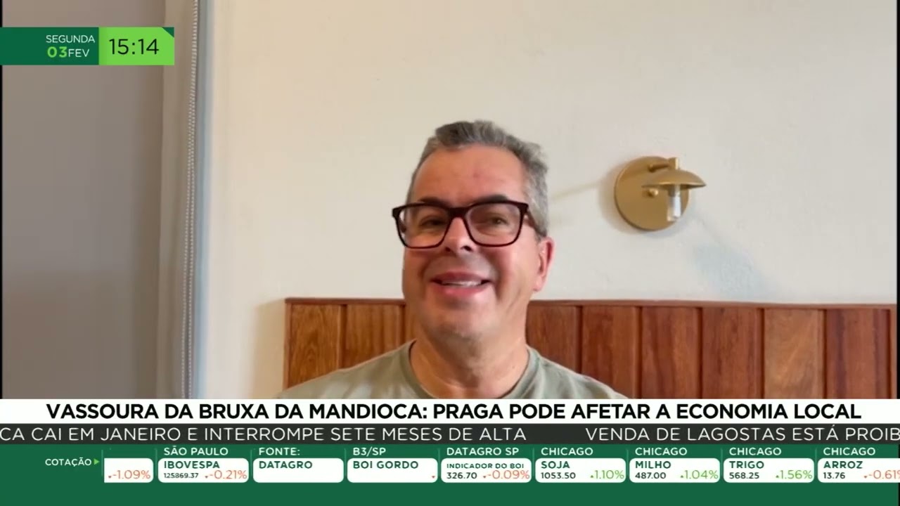 Vassoura de Bruxa da Mandioca: Praga pode afetar a economia local