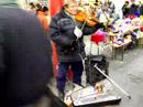Budapest Street Music