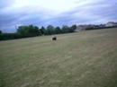 big boys , big kites