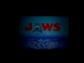this is a game jaws on the nintendo ds. it's the same one as the nes. sorry for the bad quality.