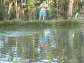 videos de baby tarpon no Fly