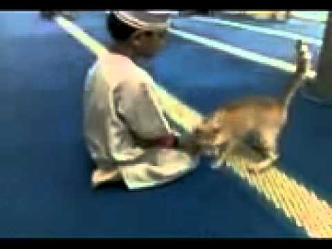 Masjid - haha :)