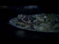 Promise And The Monster Night Out Video and Lyrics
