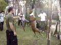 ORKAN (APBT) Evento APBA Longchamps 18/03/2007 [01]