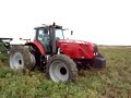 Rooien Alberta MF 8480 en Lockwood Trekkerweb Rooien Alberta MF 8480 en Lockwood Trekkerweb