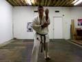 Oi-zuki Punch karate shotokan Martin Silva