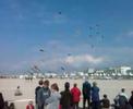 cerfs volants berck 2008
