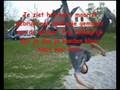 videos de How to Aerial (Dutch)