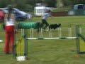 Tia 2006/2007