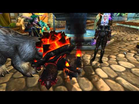 pet