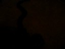 my snakes and aquarium my snakes and aquarium