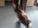 jumpestyle