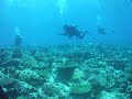 DSCF5001.AVI