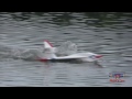 Click here to watch this video Joe Nall 2012