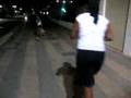 Assistir ao vídeo