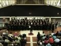 Cappella Musicale Fiorentina E' lAssiria- 2009.flv