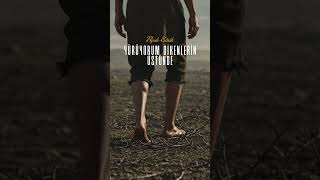 YÜRÜYORUM DİKENLERİN ÜSTÜNDE / Rock - Etnik #ethnorock #rockvokal #yürüyorumdikenlerinüstünde