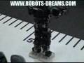 MANOI Athelete Humanoid Robot