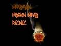 Bearman - Brown bear picnic