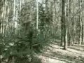 10 minutni film, posnet na primostku,Miomir Čikić