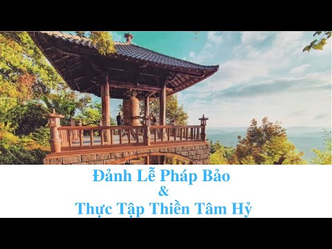 Đảnh Lễ Pháp Bảo & Thực Tập Thiền Tâm Hỷ | Linh Quy Pháp Ấn