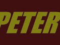 TRAIN RIDE FROM NEW YORK TO PORT CHESTER ~ PETER IASILLO