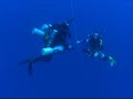 Megalodon & Pelagian rebreather