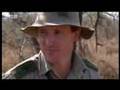 Tourists get too close to a black rhinoceros and baby in African safari - BBC wildlife