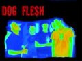 Dog Flesh - Why Aren't You Here?